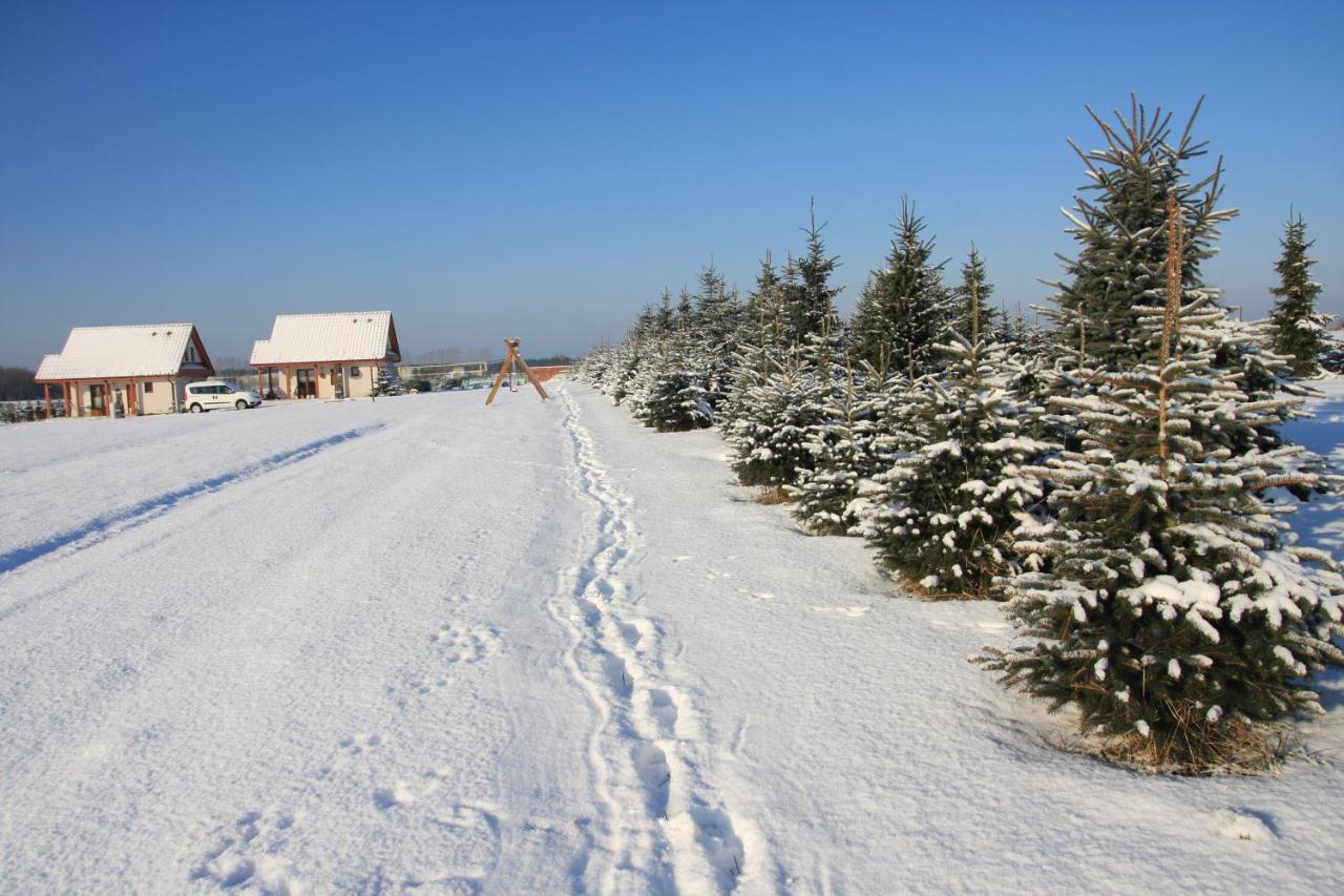 Wygodny Murowany Domek- Nowy Dabki Exterior photo