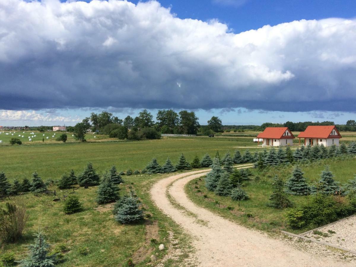 Wygodny Murowany Domek- Nowy Dabki Exterior photo