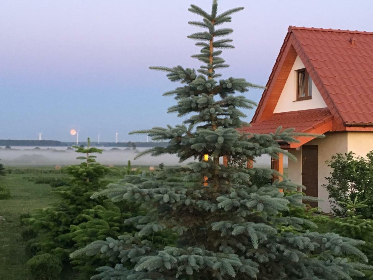 Wygodny Murowany Domek- Nowy Dabki Exterior photo